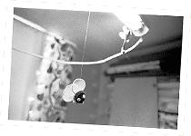 Caroline tapetserare